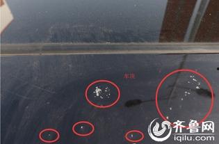 赵先生最新爆料新闻,揭秘娱乐圈最新劲爆新闻 第1张 赵先生最新爆料新闻,揭秘娱乐圈最新劲爆新闻 第1张